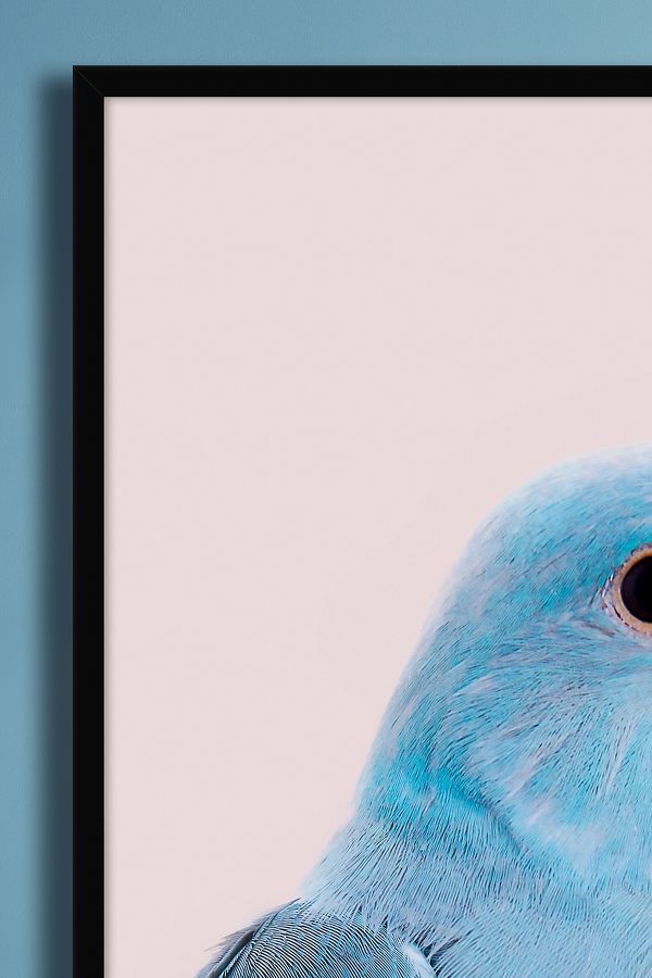 Vista diapositiva: 2: Blue Parrot di Kathrin Pienaar Wall Art