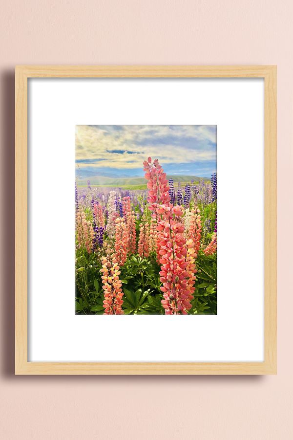 Vista diapositiva: 1: Lupini di Maz Ghani Wall Art