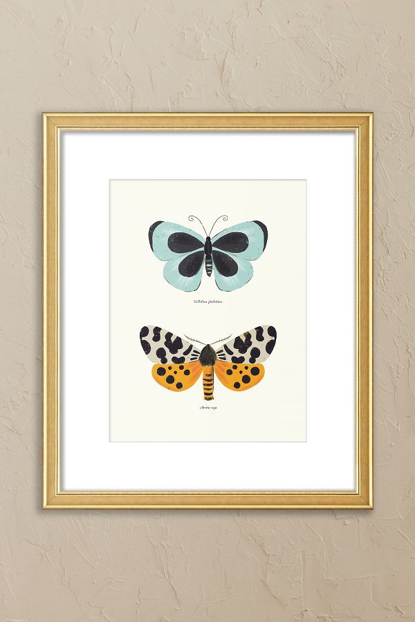 Slide View: 1: Butterfly Species by Sabina Radeva Framed Wall Art