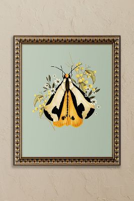 moth and berries by Nicola Evans Framed Wall Art