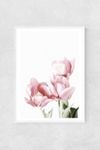 Thumbnail View 1: Tulips Wall Art