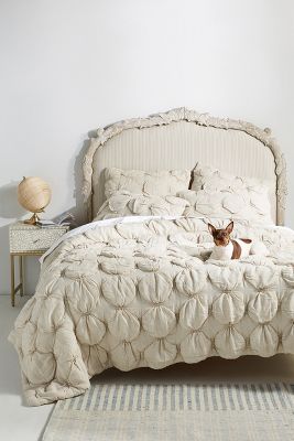 queen size coverlets and quilts