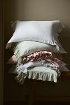 Thumbnail View 2: Organic Cotton Spa Sateen Ruffled Shams, Set of 2