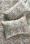 Thumbnail View 1: Leora Organic Cotton Percale Floral Shams, Set of 2