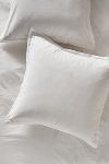 Thumbnail View 1: Taylor Organic Cotton Percale Embroidered Euro Sham