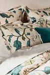 Thumbnail View 4: Taylor Organic Cotton Percale Embroidered Sheet Set​