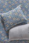 Thumbnail View 1: Lilla Cotton Shams, Set of 2