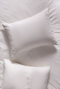 Slide View: 1: Maize Organic Cotton Shams, Set of 2