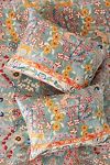 Thumbnail View 1: Lacey Organic Cotton Shams, Set of 2