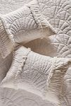 Thumbnail View 1: Gillian Cotton Plush Shams, Set of 2