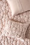 Thumbnail View 1: Constance Cotton Jersey Cloud Shams, Set of 2