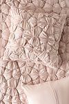 Thumbnail View 1: Constance Cotton Jersey Cloud Euro Sham