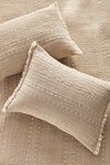 Thumbnail View 1: Zuri Cotton Jacquard Shams, Set of 2