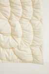 Thumbnail View 5: Skylar Cotton Textured Quilt