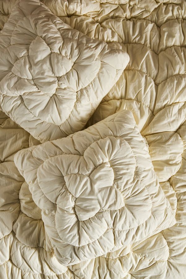 Slide View: 1: Skylar Cotton Textured Euro Sham