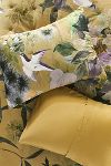 Thumbnail View 1: Colliere Velvet Floral Shams, Set of 2