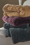 Thumbnail View 2: Trova Velvet Quilt