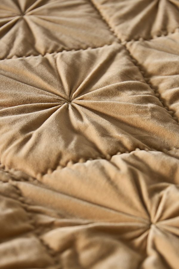 Slide View: 3: Trova Velvet Quilt