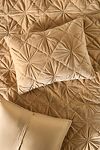 Thumbnail View 1: Trova Velvet Shams, Set of 2