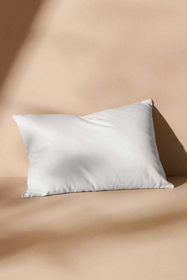 Slide View: 4: Decorative Pillow Insert