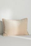 Thumbnail View 5: Velvet Trova Pillow