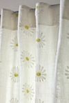 Thumbnail View 2: Lotte Cotton Embroidered Daisy Curtain