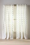 Thumbnail View 1: Lotte Cotton Embroidered Daisy Curtain