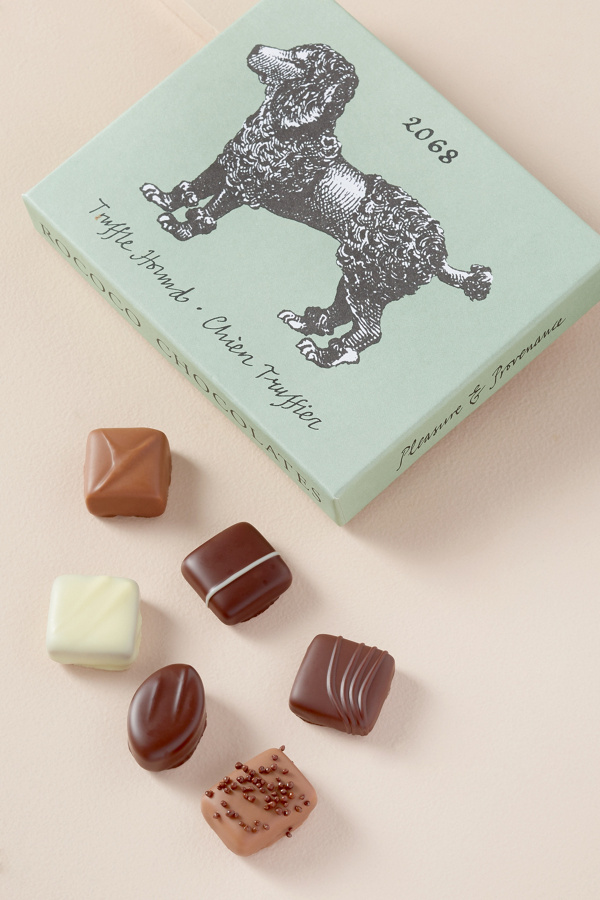 Rococo Truffle Hound Chocolate Truffles Anthropologie UK