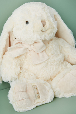 next bunny teddy