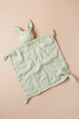 cotton rabbit