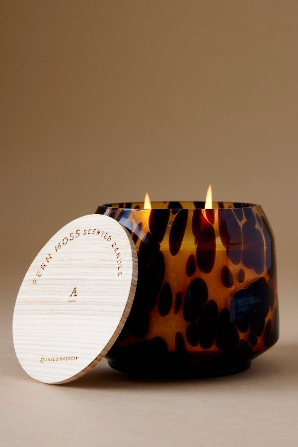 Slide View: 2: The Gather Candle by Anthropologie: Cheena Fern Moss