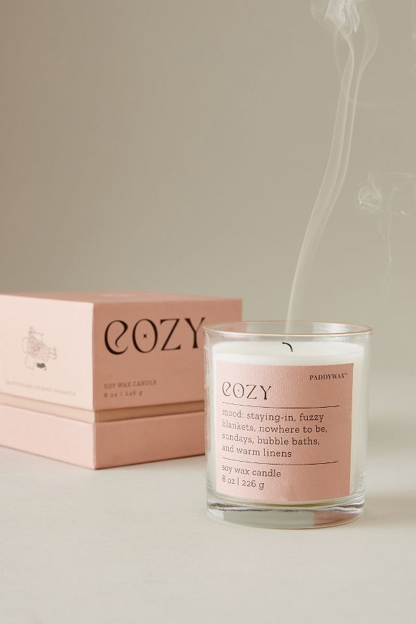 Vista diapositiva: 2: Paddywax Cozy Candela in scatola