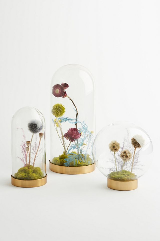 Floral Curiosity Cloche Anthropologie