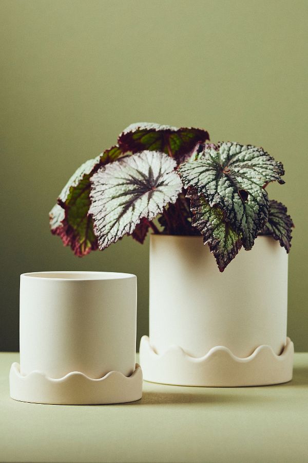 Slide View: 1: Scalloped Ceramic Pot