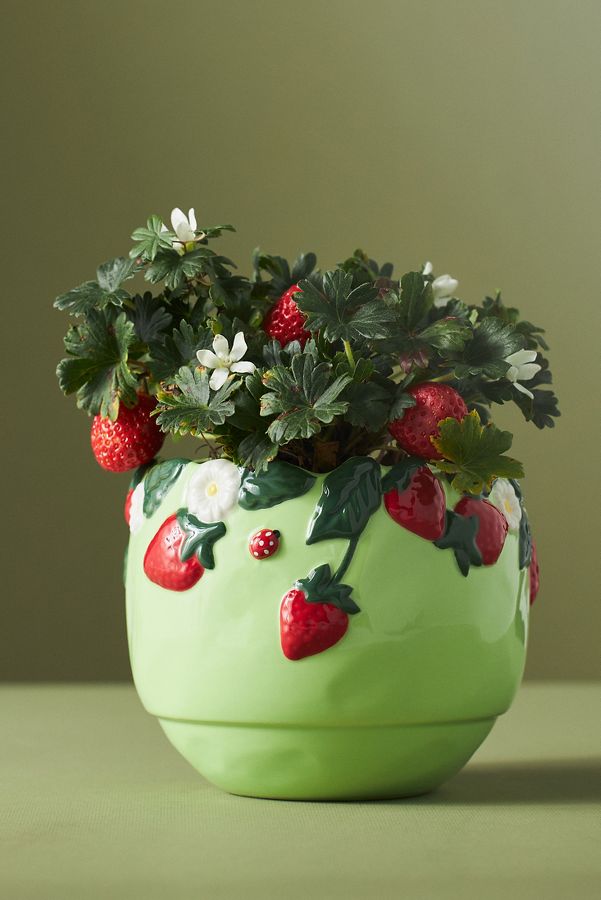 Slide View: 1: Foster Floral Stoneware Pot