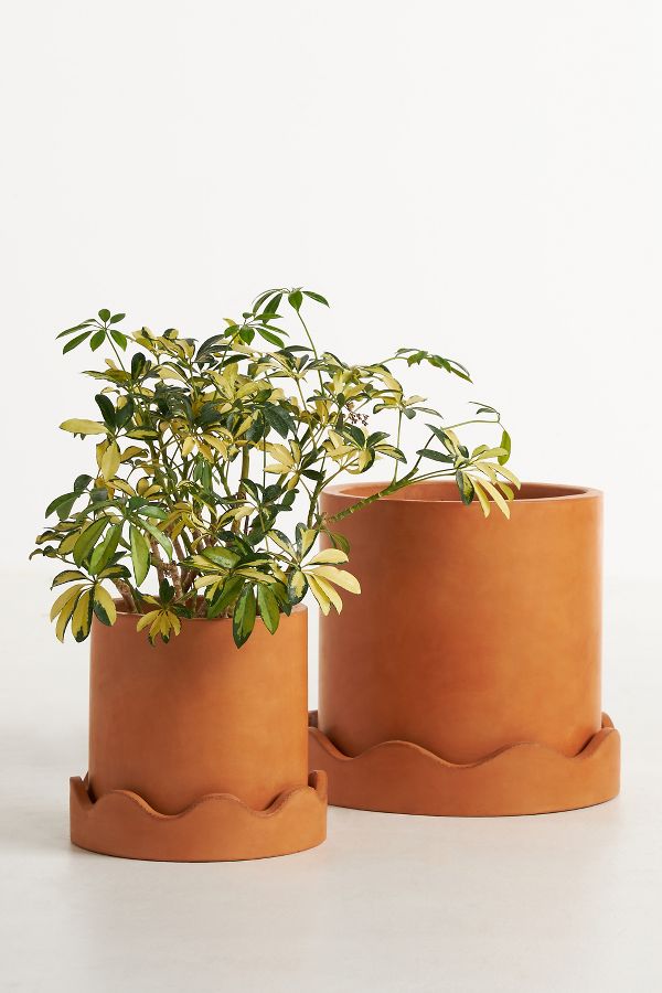 Slide View: 1: Scalloped Terracotta Pot