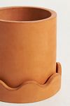 Thumbnail View 3: Scalloped Terracotta Pot