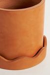 Thumbnail View 5: Scalloped Terracotta Pot