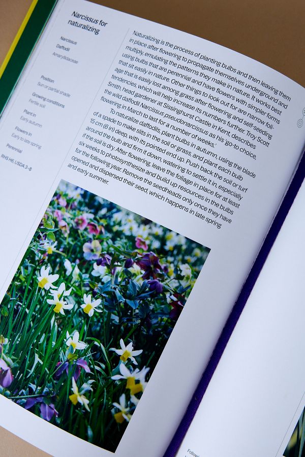 Slide View: 2: A Year in Bloom: Flowering Bulbs for Every Season Book