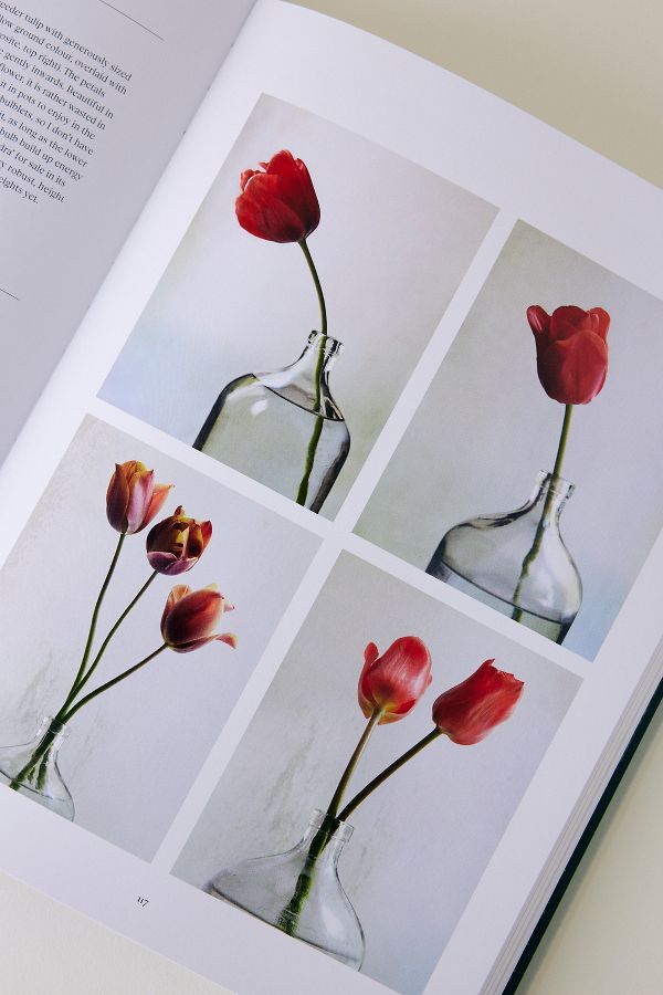 Slide View: 2: The Tulip Garden: Growing and Collecting Species, Rare and Annual Varieties Book