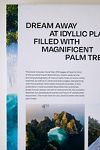 Thumbnail View 3: Livre Palm Tree Destinations