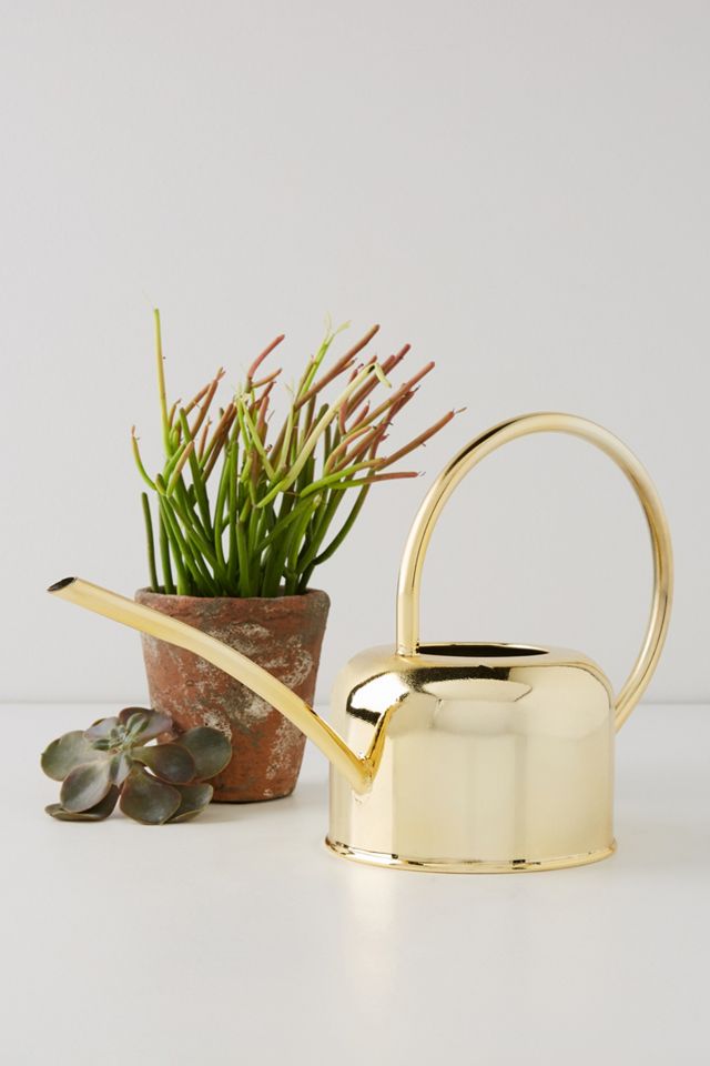 Golden Watering Can Anthropologie