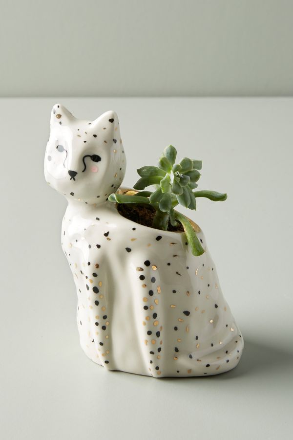 Jardiniere Fauna Mouchete Anthropologie Fr