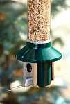 Thumbnail View 2: PestOff Squirrel Proof Bird Feeder