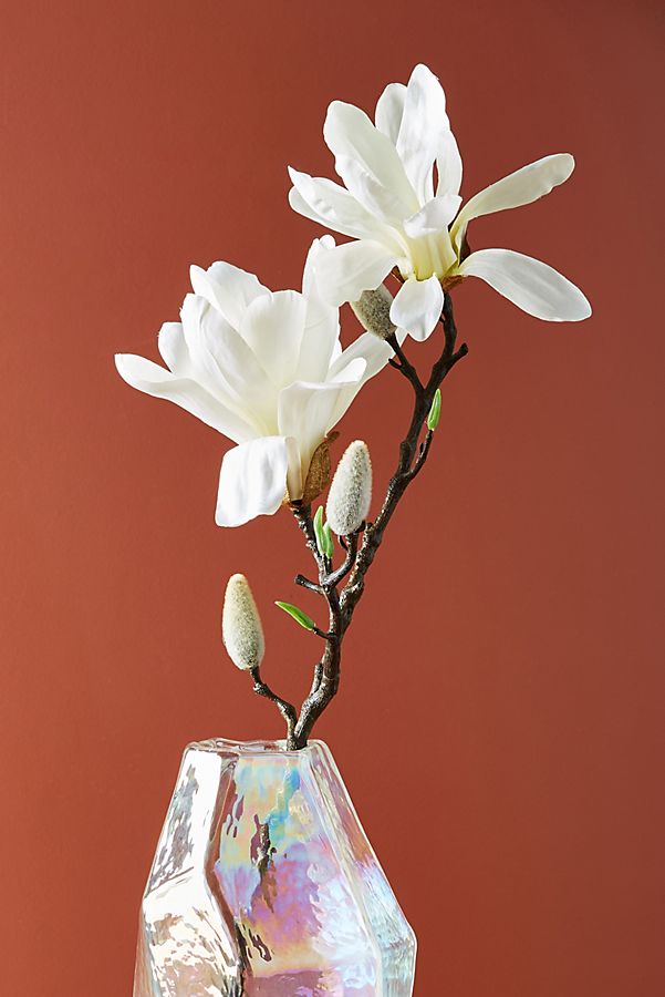 Slide View: 2: Magnolia Stem