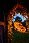 Thumbnail View 3: Stargazer Twinkling Climbing Vine Garland