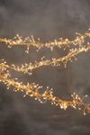 Thumbnail View 1: Stargazer Twinkling Climbing Vine Garland