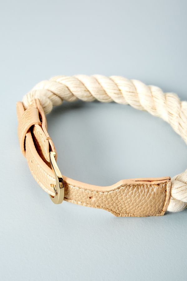 Ruby Dog Collar | Anthropologie