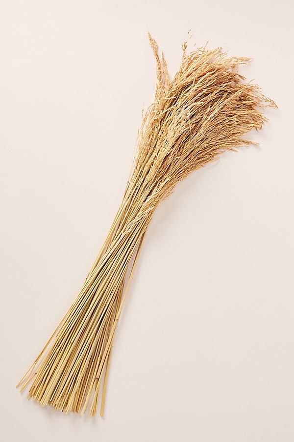 Slide View: 2: Dried Plume Reed Bouquet
