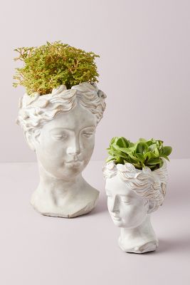 Shop Grecian Bust Pot from Anthropologie on Openhaus